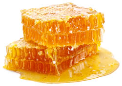 Bienenprodukte bilden seit jeher die Basis unseres Bioprogramms - hier der Honig