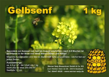 Gelbsenf - Bienenweide - 1 kg