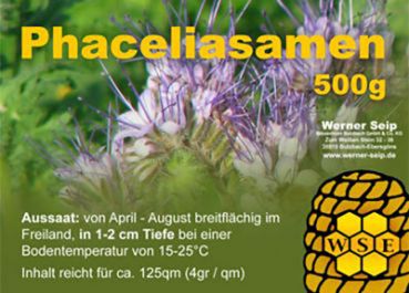 Phacelia Samen - 500 g